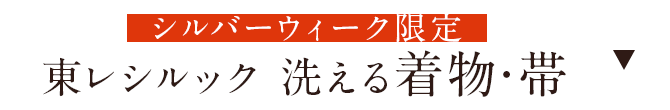 東レシルック　洗える着物・帯