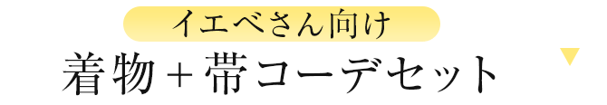 イエべさん向け　着物＋帯コーデセット
