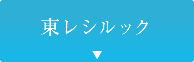 東レシルック
