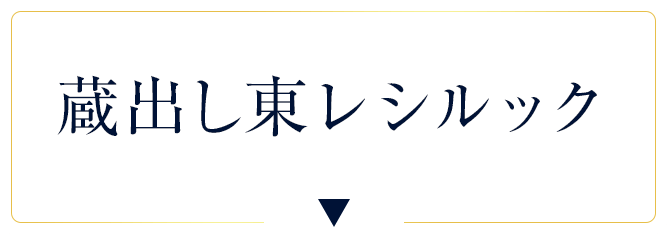 蔵出し東レシルック