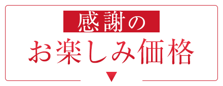 感謝のお楽しみ価格