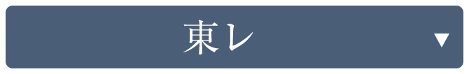 東レシルック