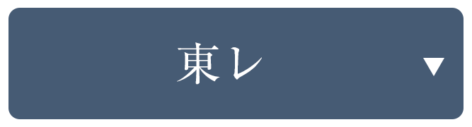 東レシルック