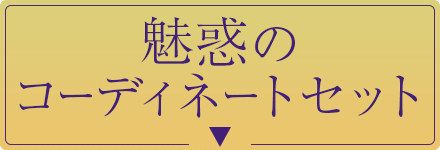 魅惑のコーディネートセット