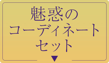 魅惑のコーディネートセット