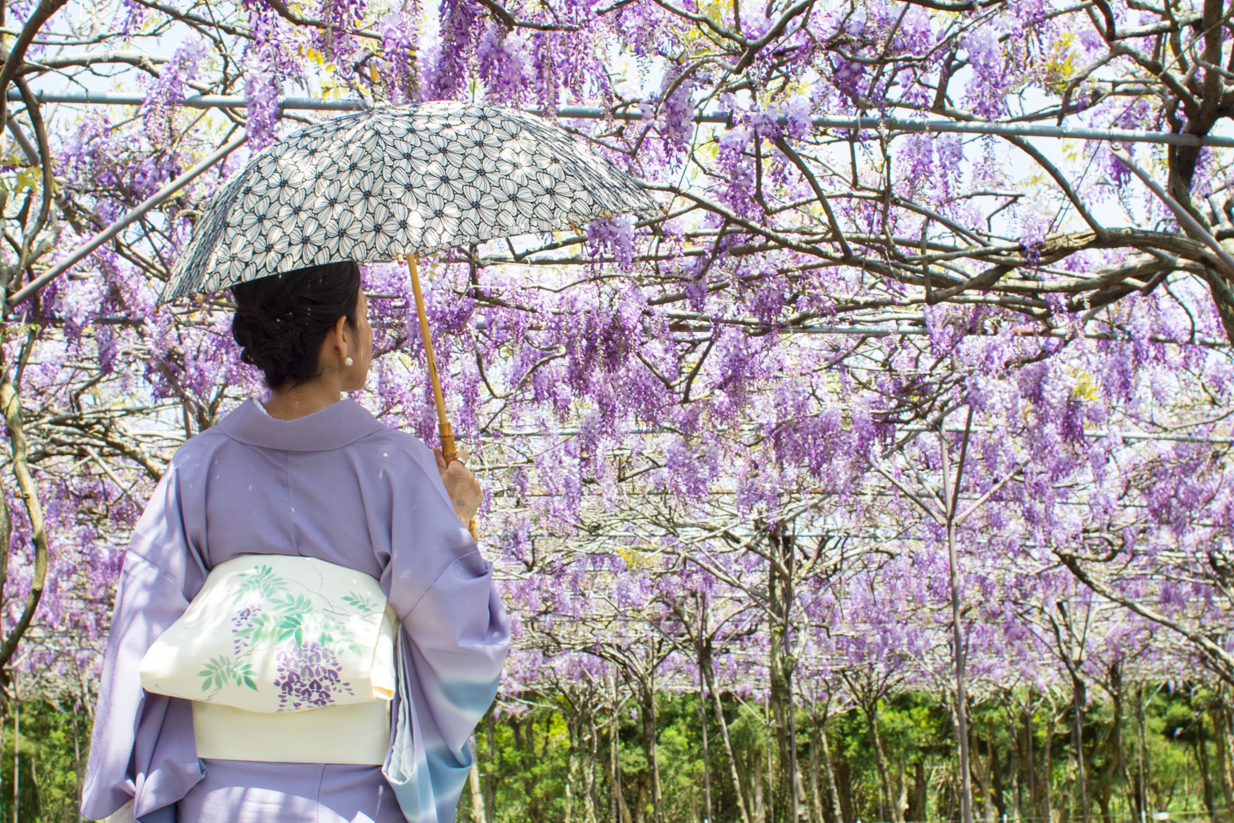 駆け足で過ぎる！花いっぱいの台湾の春 「台湾きものスタイル考」 vol