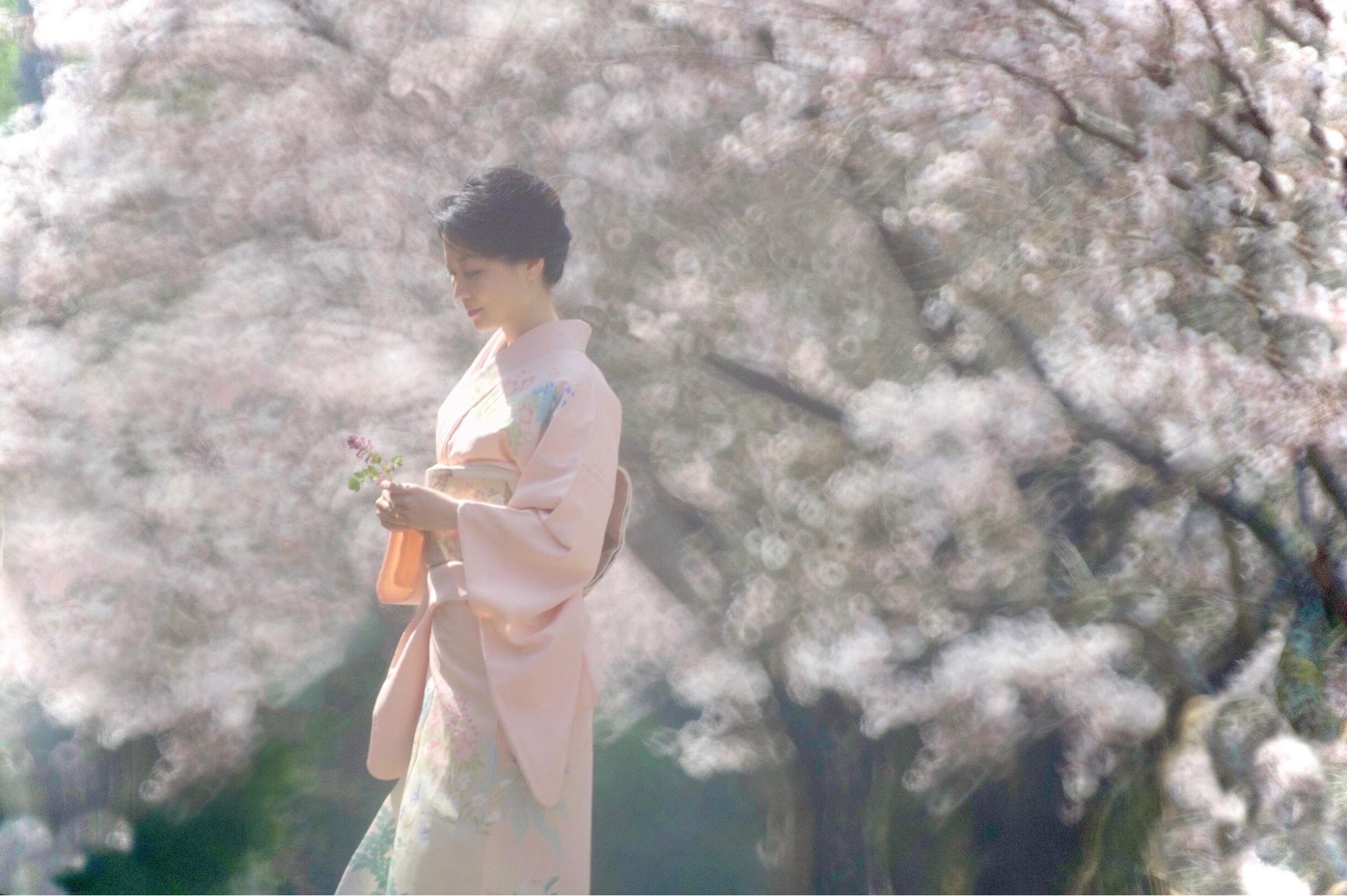 桜の秘めごとと”もののあはれ”「Junko Sophieの秘伝京都」vol.11 ...