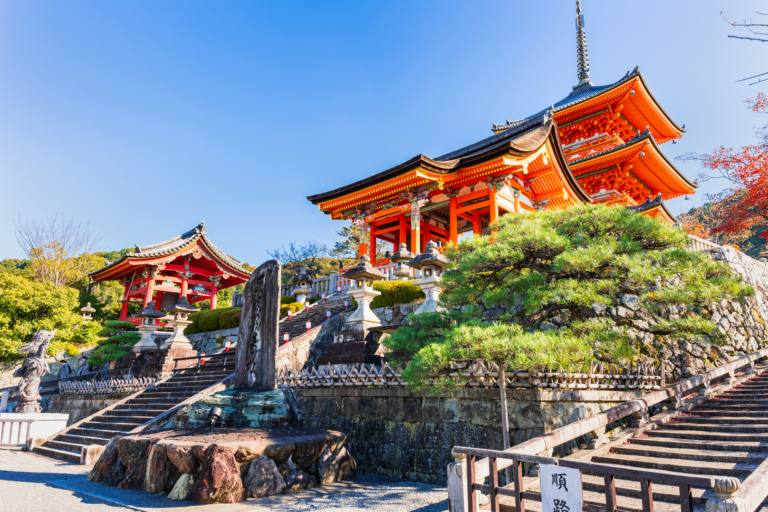 京都 観光 着物 清水寺 コレクション