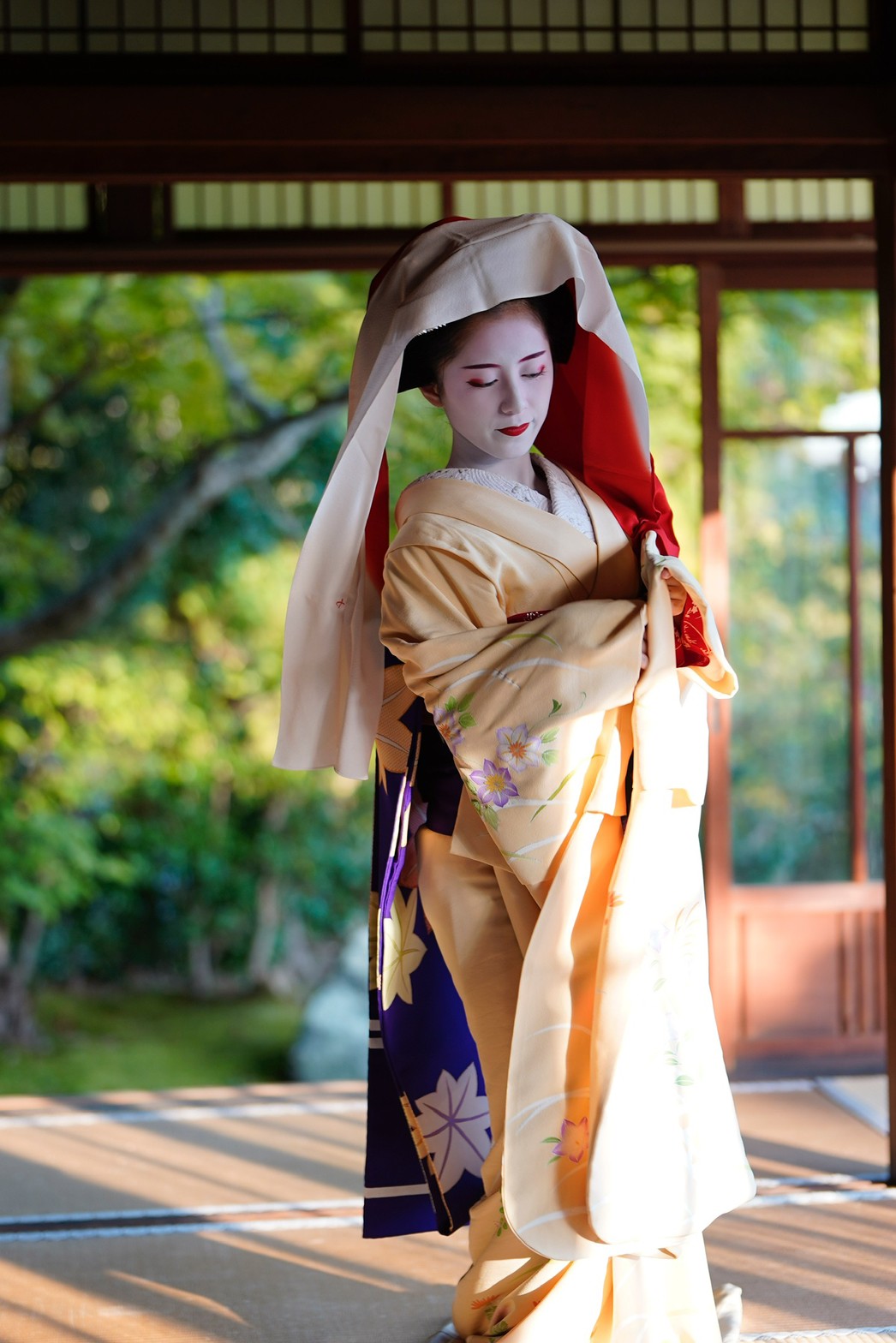 初秋の光雲寺から、初夏の水族館まで 祇園甲部・亜佐子さん 「令和の芸舞妓図鑑」vol.2 ｜コラム｜きものと（着物メディア）│きものが紡ぐ豊かな物語。－京都きもの市場