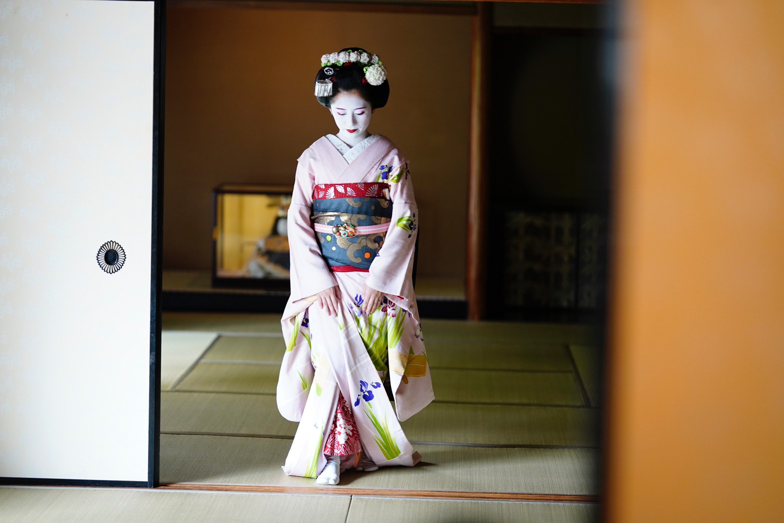 初秋の光雲寺から、初夏の水族館まで 祇園甲部・亜佐子さん 「令和の芸舞妓 図鑑」vol.2｜コラム｜きものと（着物メディア）│きものが紡ぐ豊かな物語。－京都きもの市場