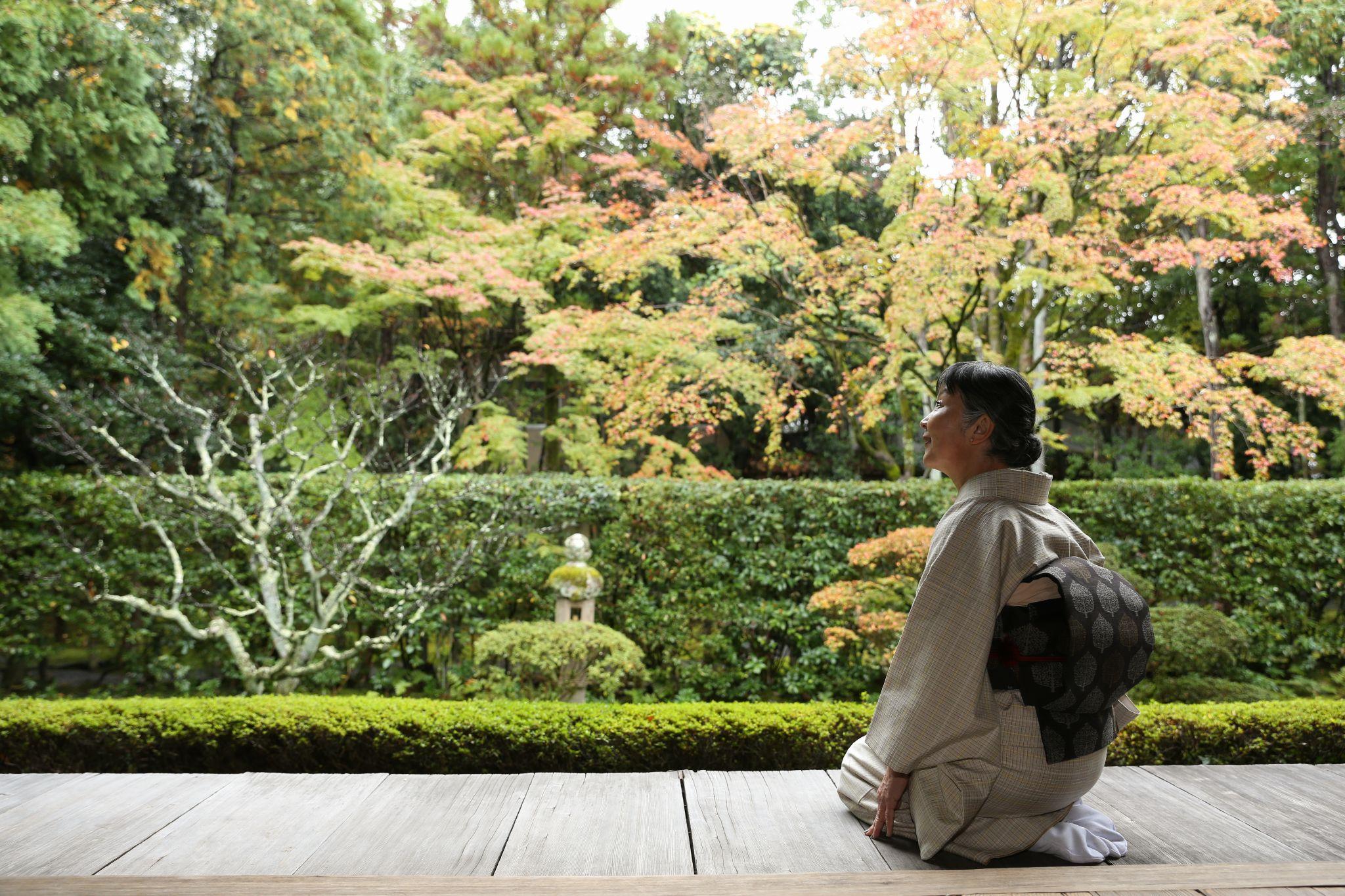 妙心寺塔頭『桂春院』、紅葉狩りは静かにゆったりと 「京都できもの